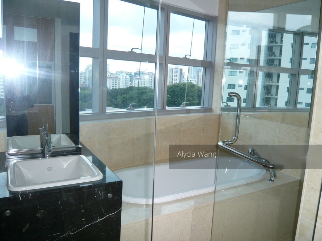 Residences @ Evelyn (D11), Condominium #125233782